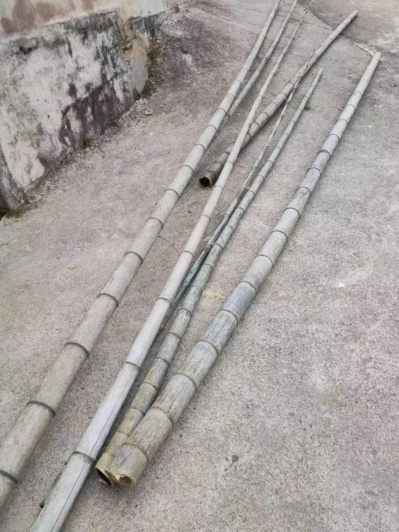 title=