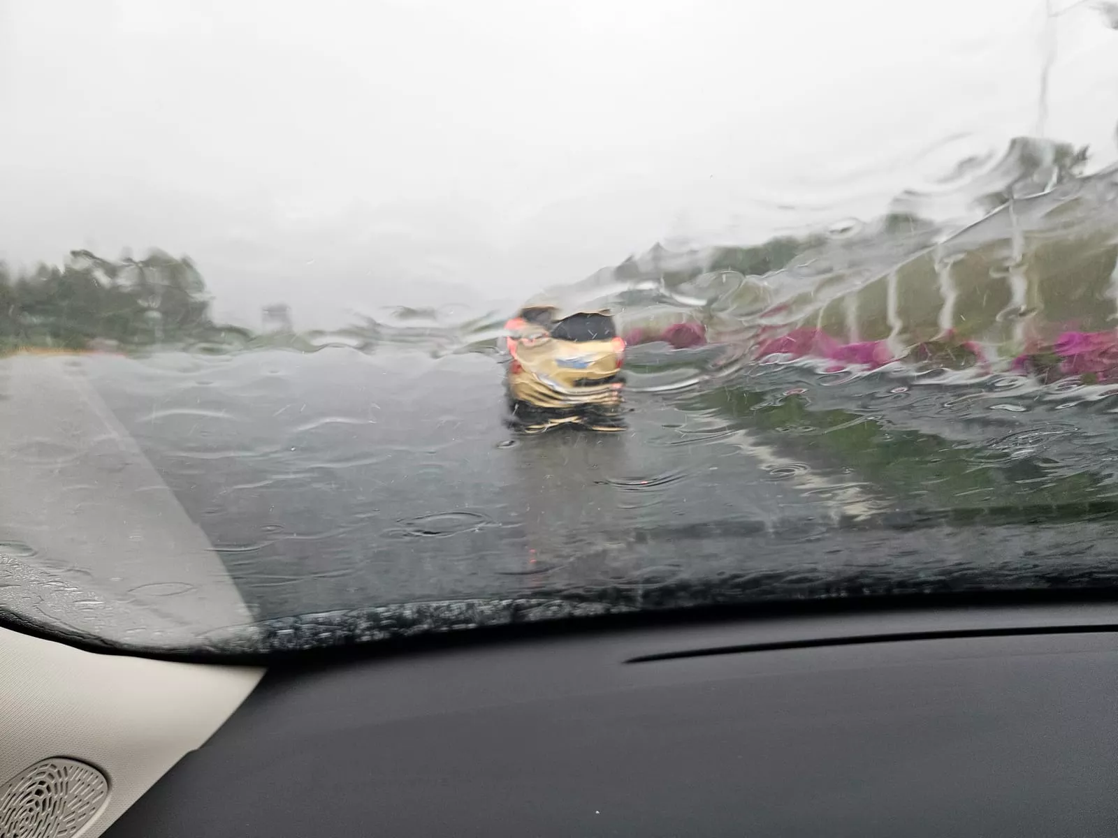 暴雨