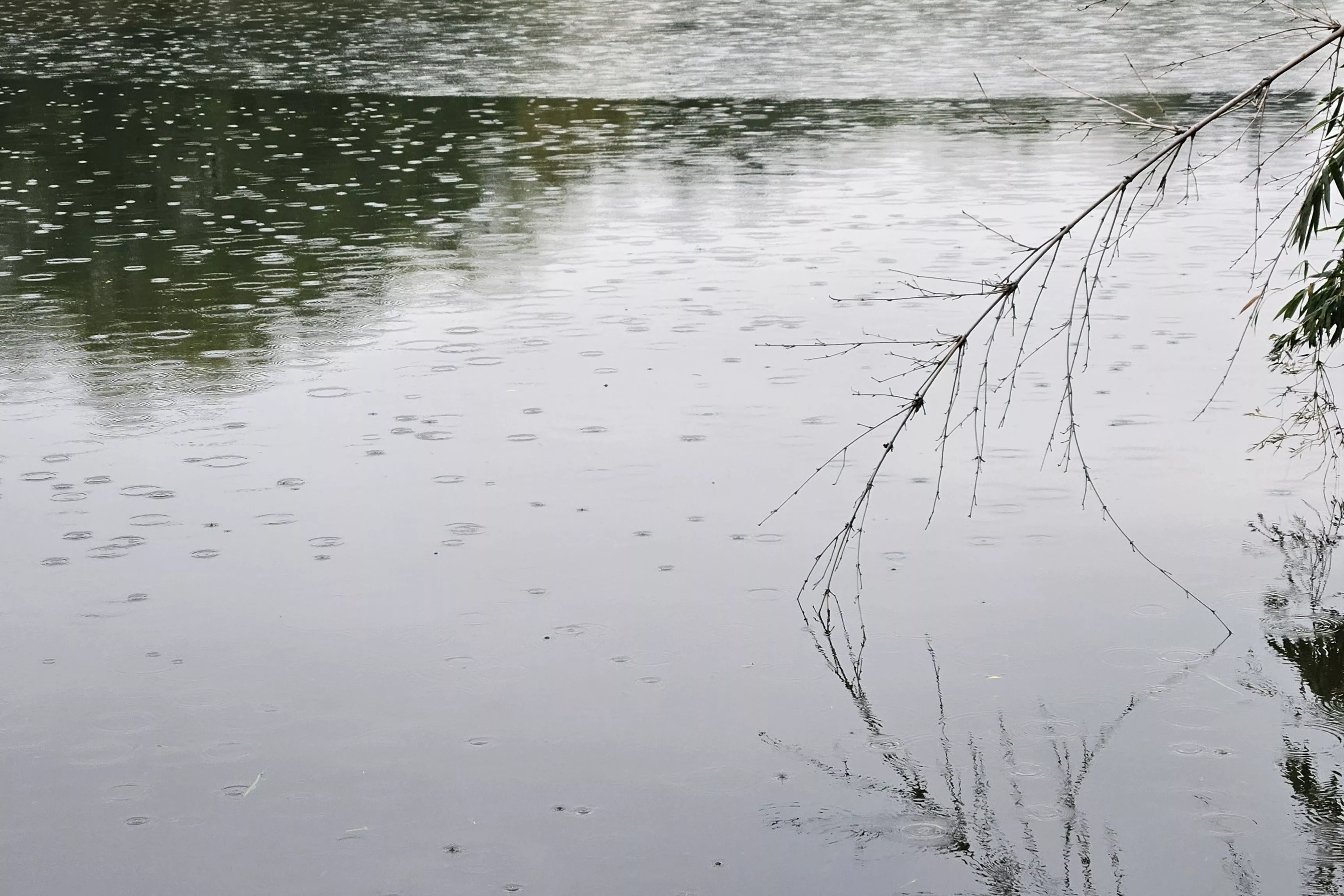 细雨