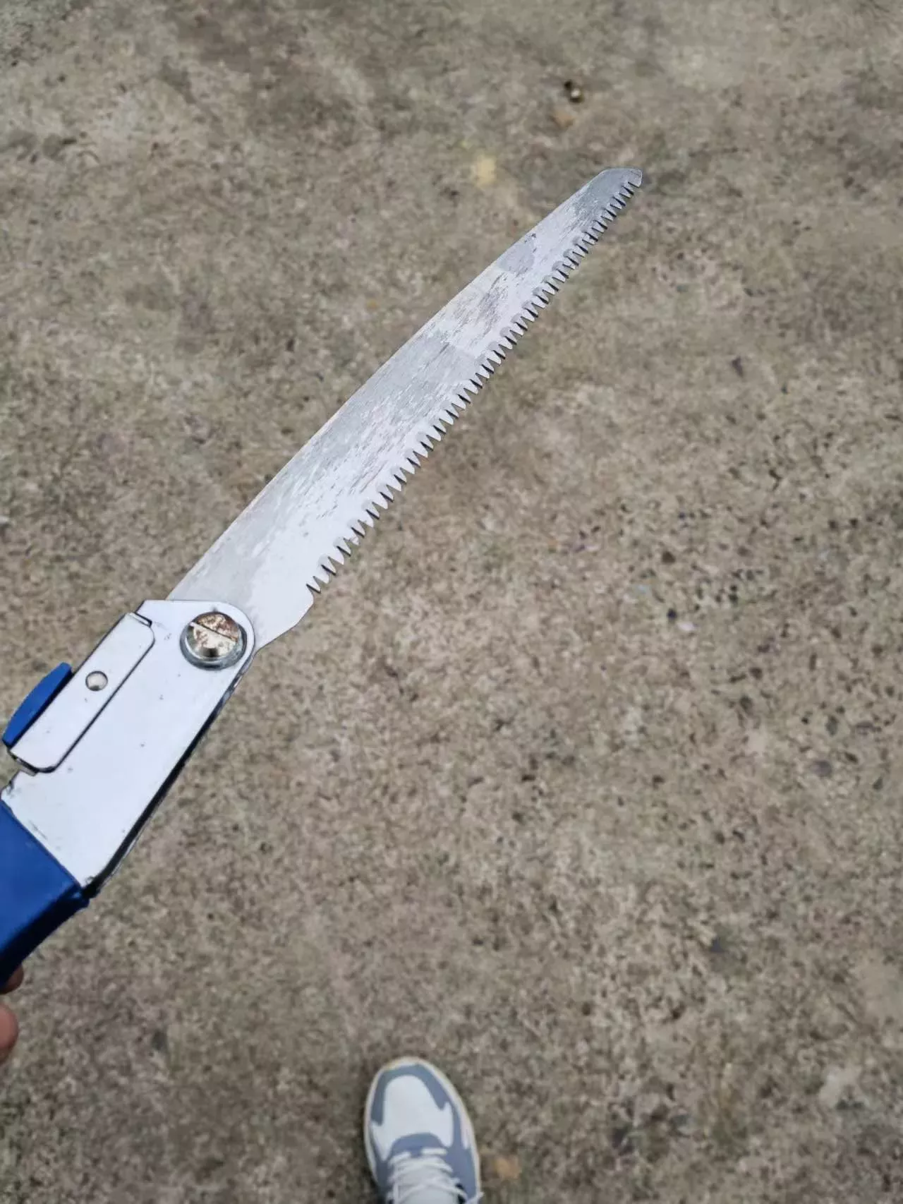 title=